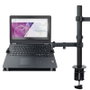 TOOQ Soporte de Mesa DB1200TN-B para Pantalla 13-32 Pulgadas y Portátil Negro